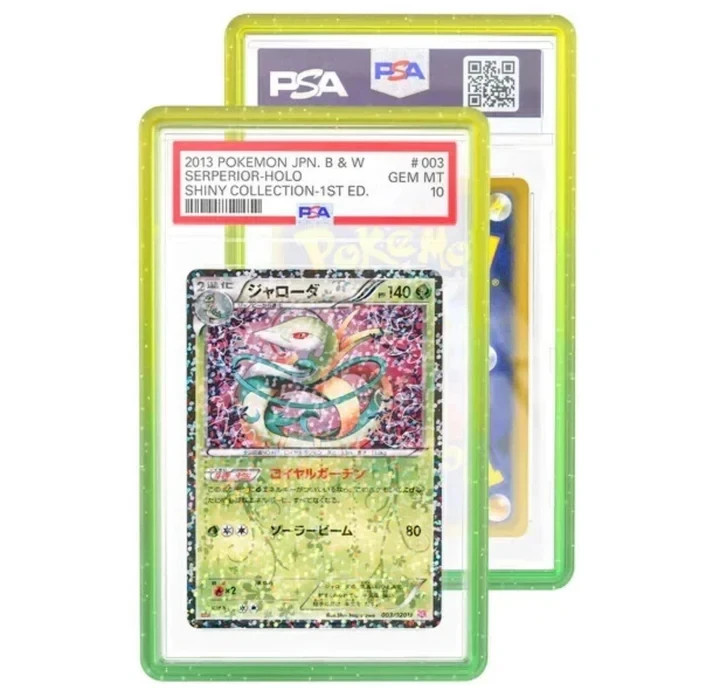 GradedGuard Trick Or Treat Pumpkin PSA Graded Card Protector (PYTHON ERROR)