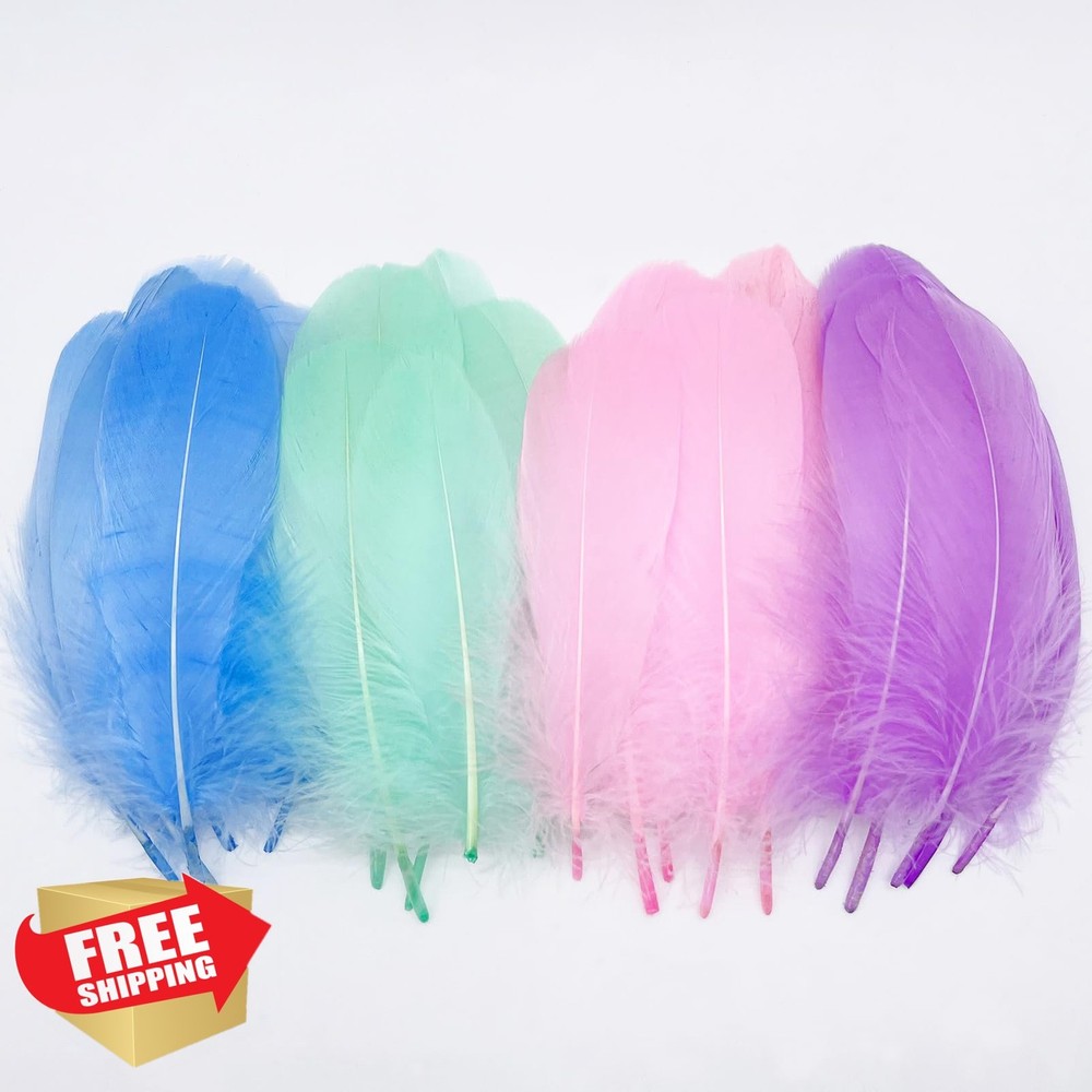 200 Pastel Goose Feathers Light Pink Blue Purple Assorted Soft