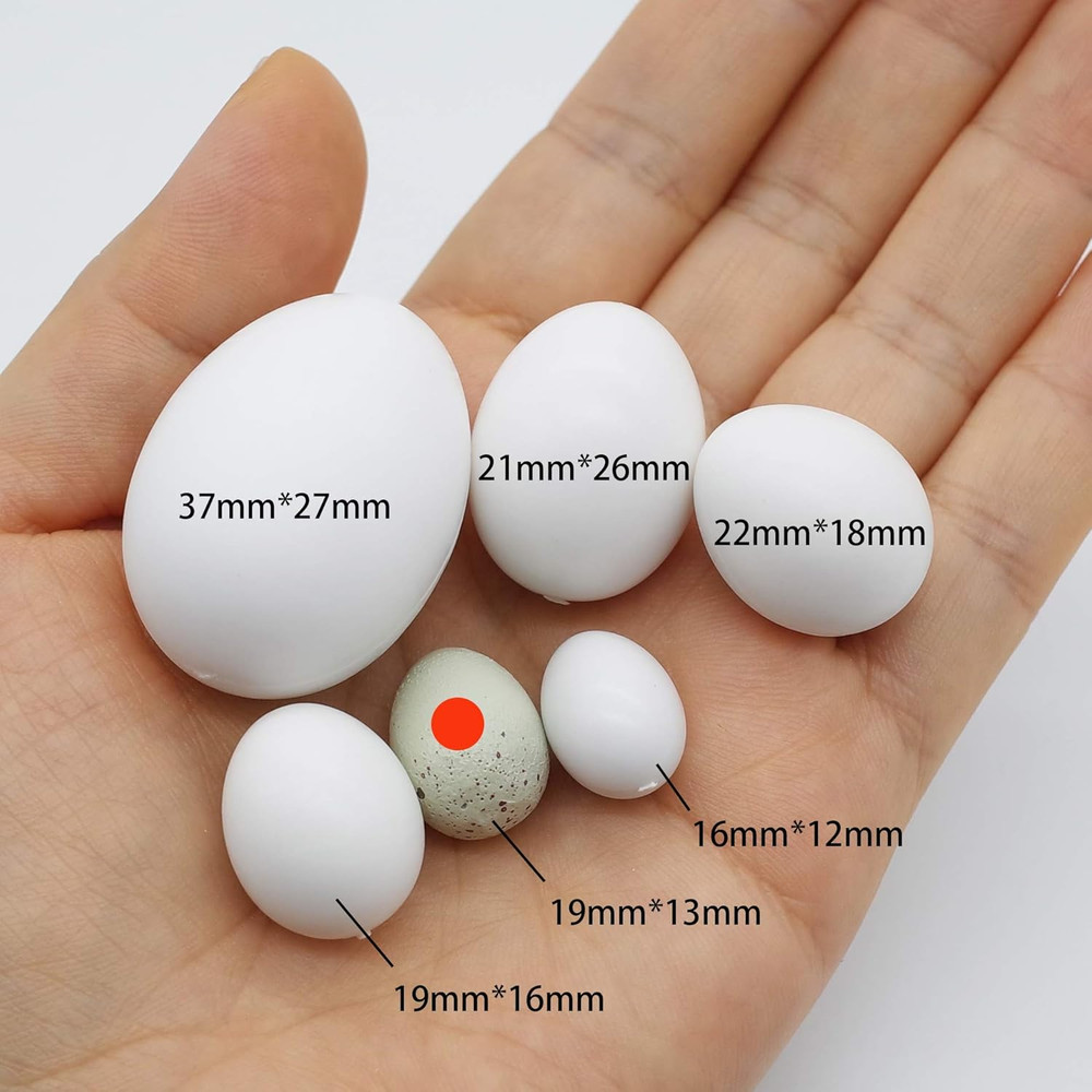 FOIBURELY 8 Pcs Solid Canary Plastic Eggs Hatching Eggs Trick the Birds to Stop