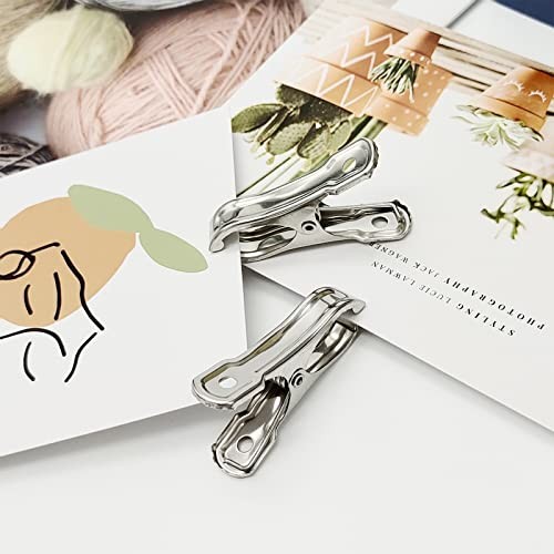 40PCS Greenhouse Clips-Garden Clips-Greenhouse Clamps Film Row Cover Netting