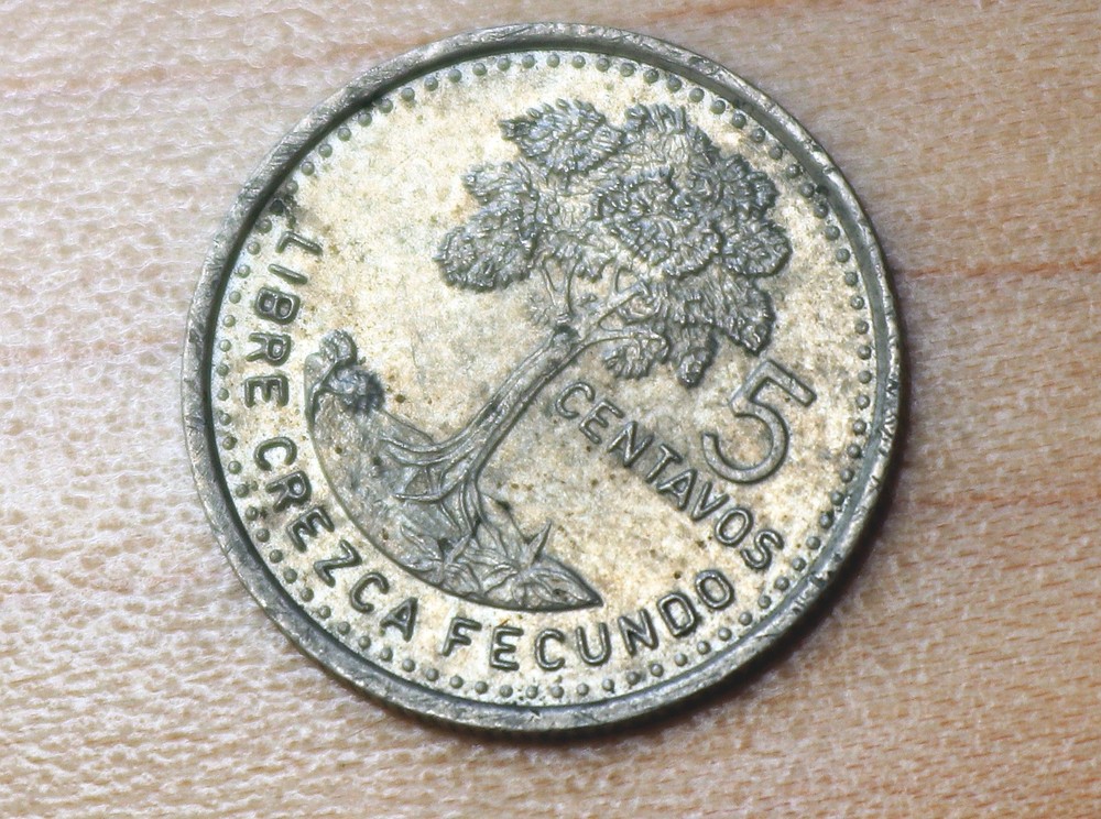 1997 Guatemala 5 Centavos Kapok Tree