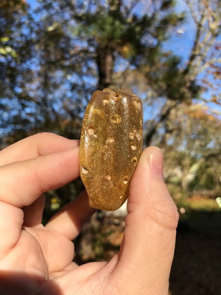 Baltic Amber