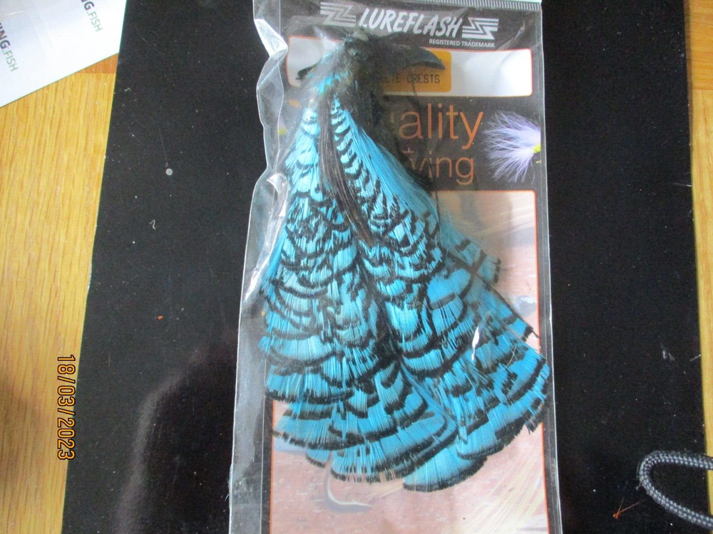 lady amherst amherest complete crest blue tippets crest