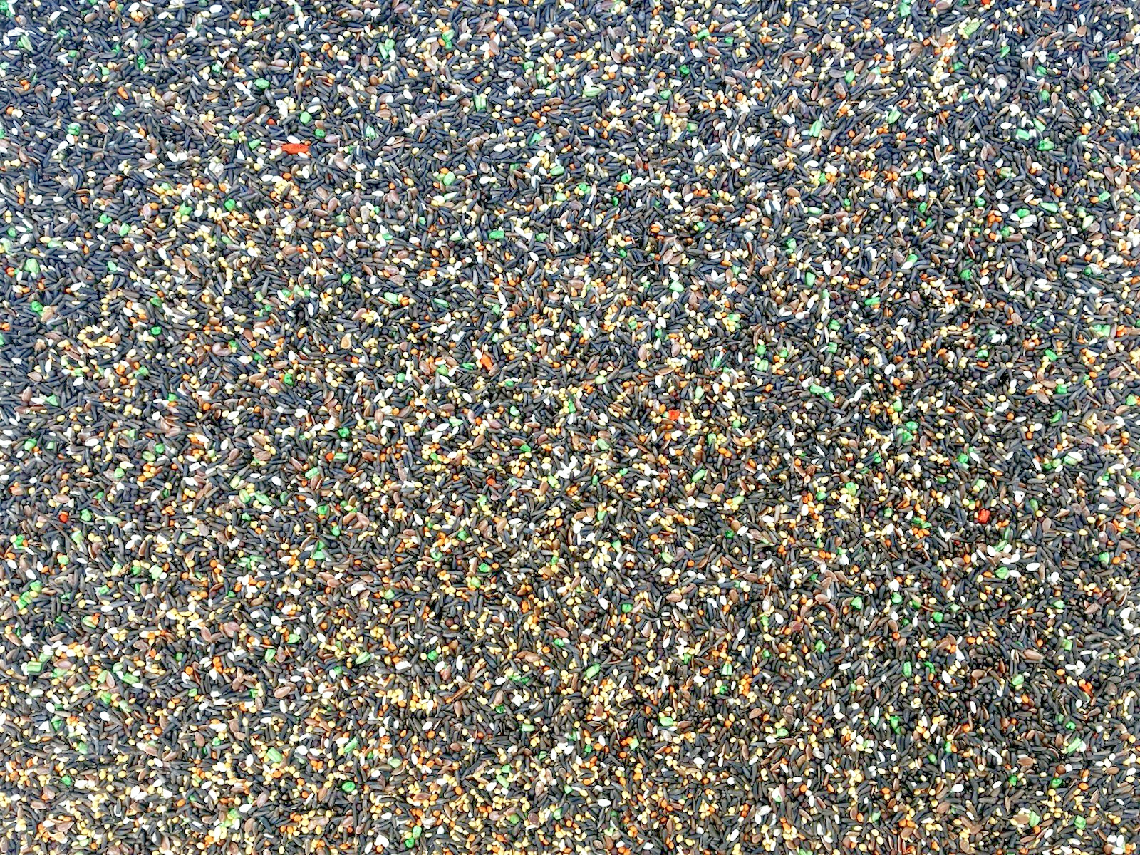 Canary Song plus - food seed for Canaries ( 2 lbs )