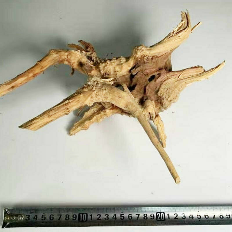 All Natural Aquarium Driftwood Assorted Branches Reptile Ornament for Fish Tank