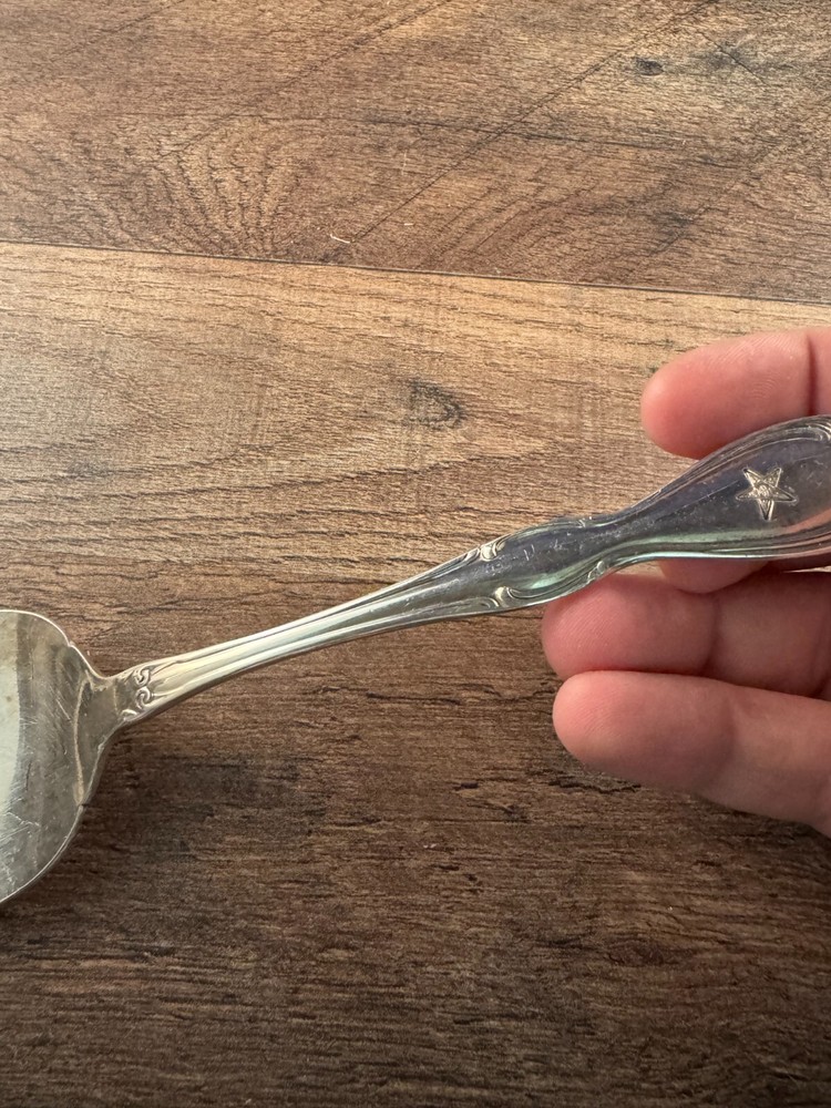 Wm A Rogers Silverplated Cake Pie Server Eastern Star