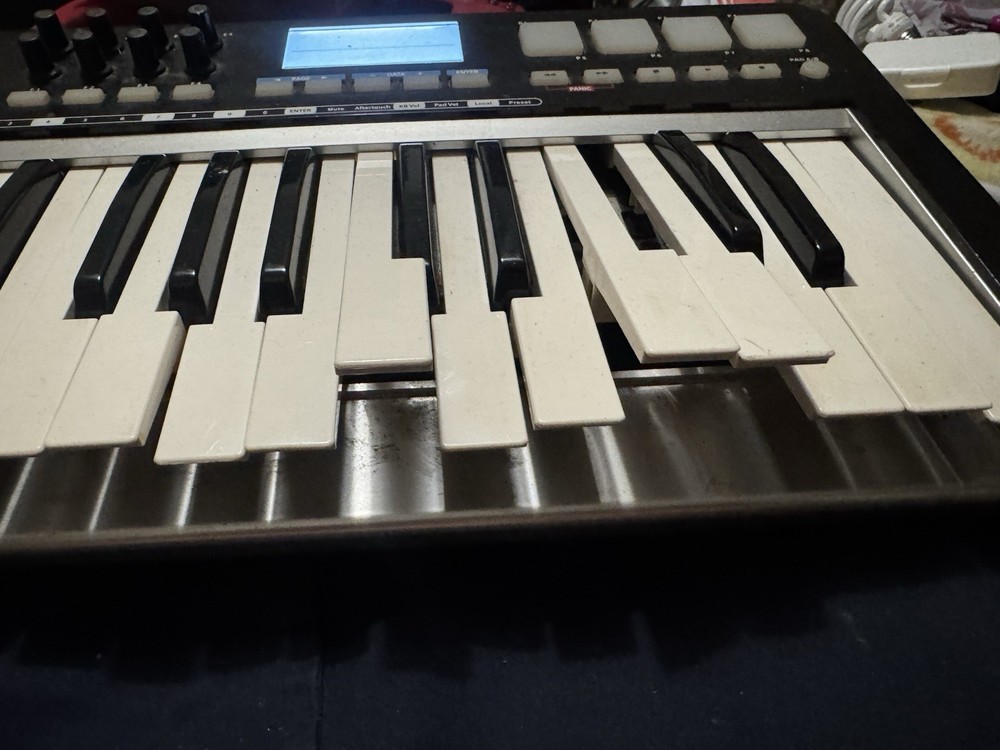 SAMSON GRAPHITE 25 (USB MIDI CONTROLLER KEYBOARD) (UNTESTED)