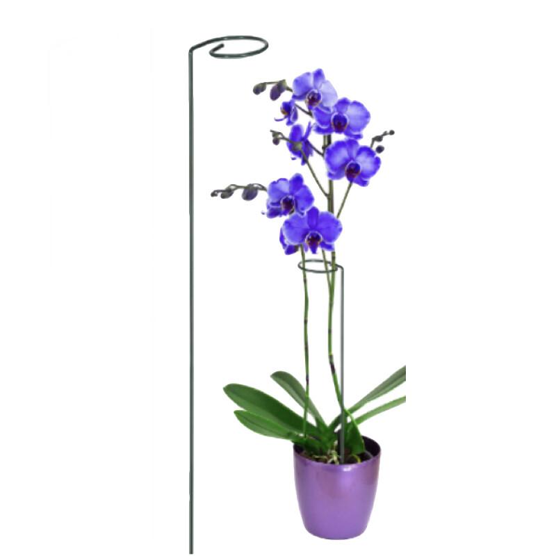 Drip Depot Single Flower Support Stake