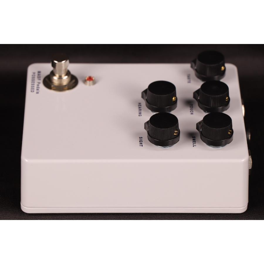 Masf Pedals Possessed Random Delay Guitar Effect Pedal