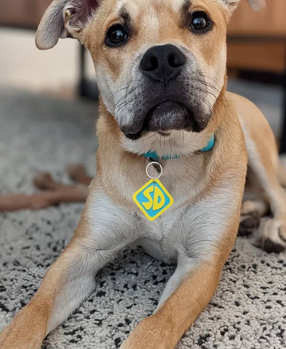 Scooby doo dog Tag Key Chain Charm Key Charm Where Are You Collectible