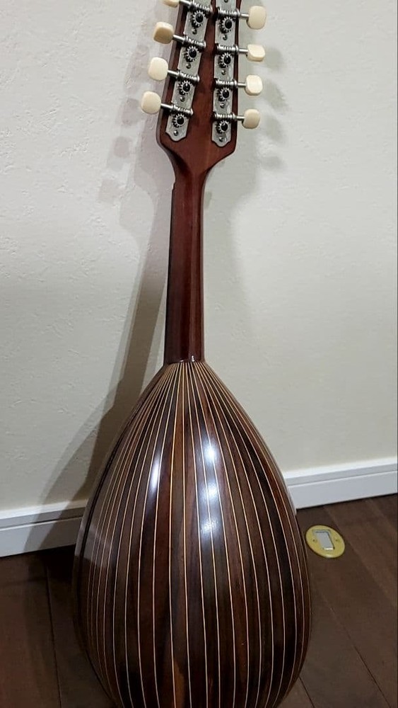 Suzuki Mandolin Violin Junk with some damage Case