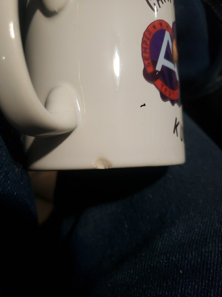 US Army Camp Arijfan Kuwait Mug