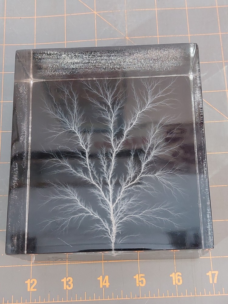 Captured Lightning Lichtenberg Figure Electron Tree Paperweight