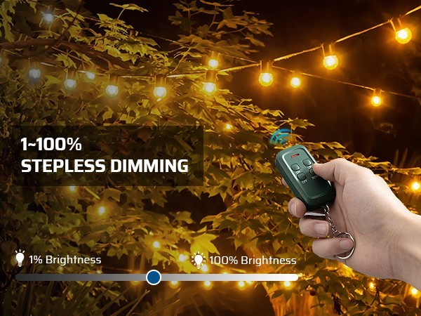 DEWENWILS Outdoor Dimmer for String Lights, Remote Control, Weatherproof, 100FT