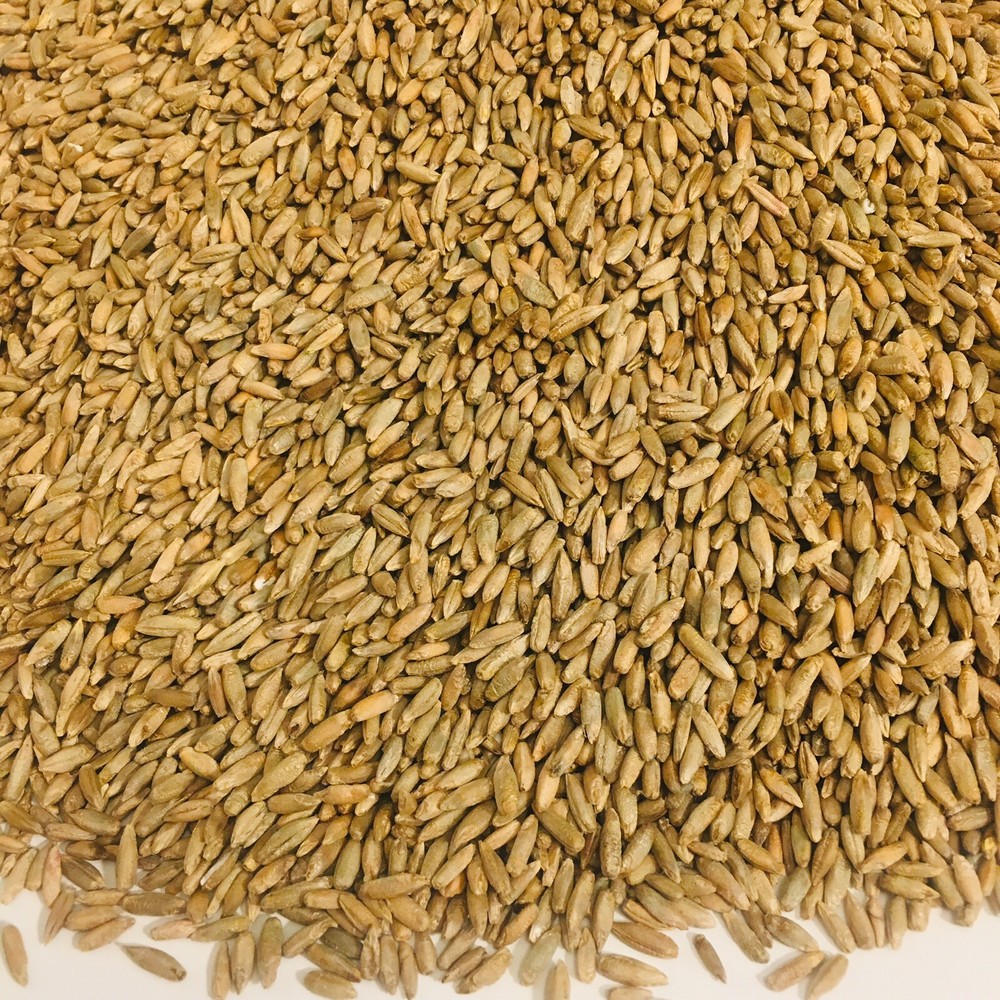 Rye Seed Whole Grain Kernels
