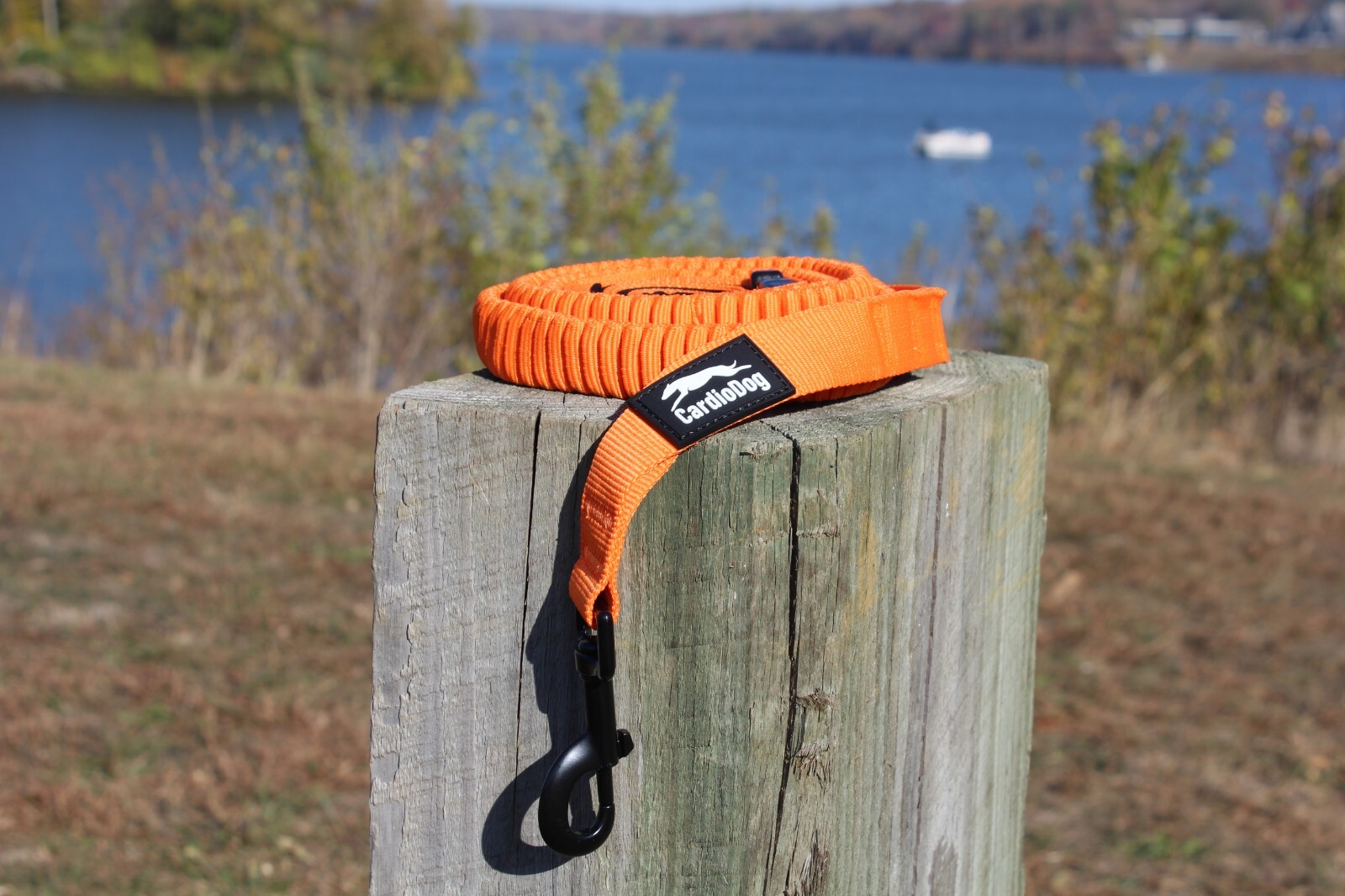 Hands Free Running Walking Dog Leash/Lead Bungee Orange Stretch