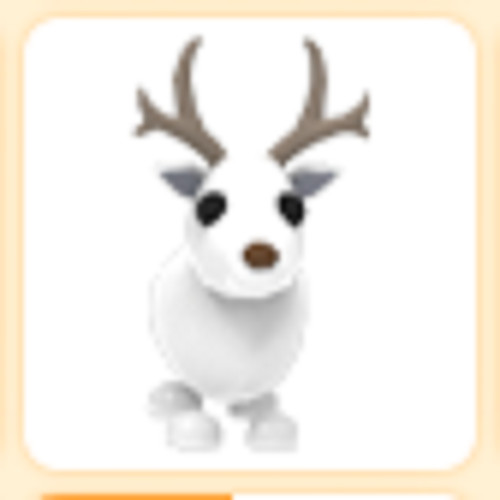 Arctic Reindeer - The Trusted Store!!
