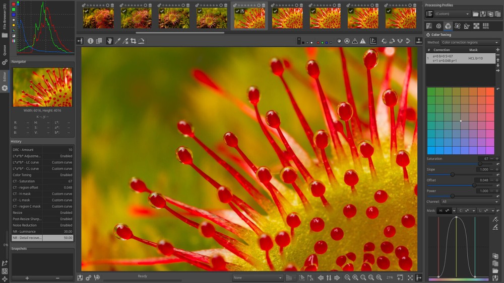 Raw Therapee Photo Processing Software, Image Editor, MacOS & Windows, USB/DVD