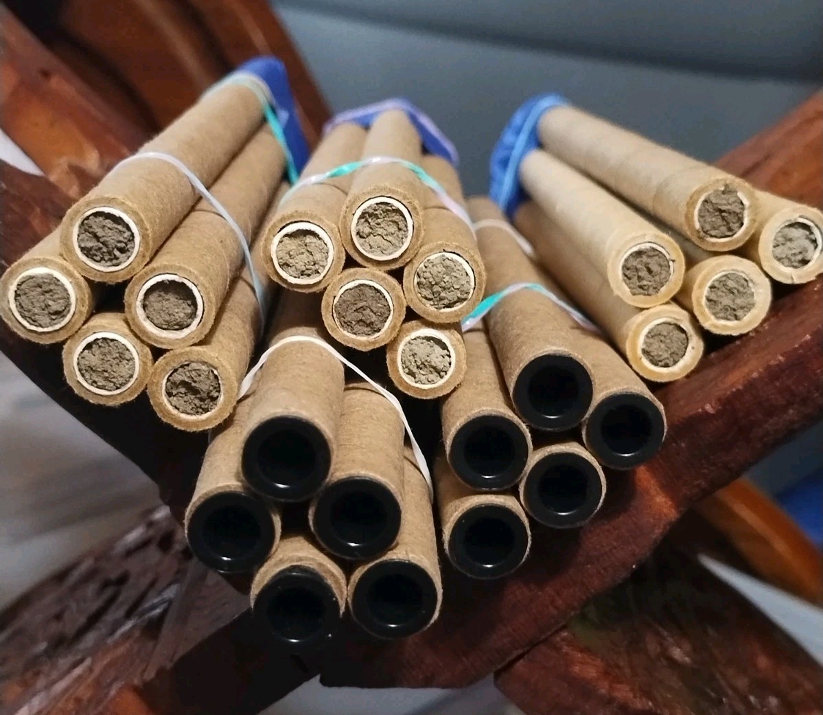 GARDENER GIFT! 5 Tubes LIVE 2025 BLUE ORCHARD MASON BEES COCOONS Spring Emerge