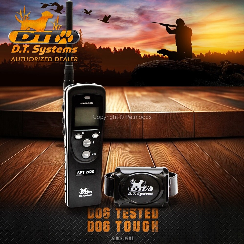 DT Systems SPT2420 Super Pro e-Lite Long Range Remote Dog Training 3.2 Mile