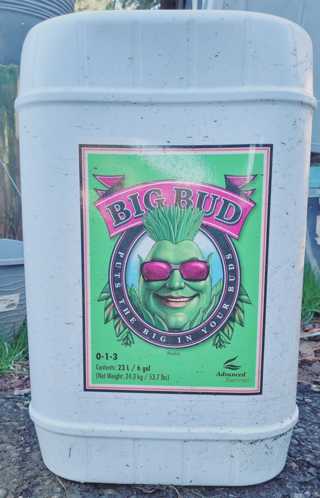 Advanced Nutrients Big Bud Bloom Stimulator Liquid 6 Gal Bottle Hydroponic