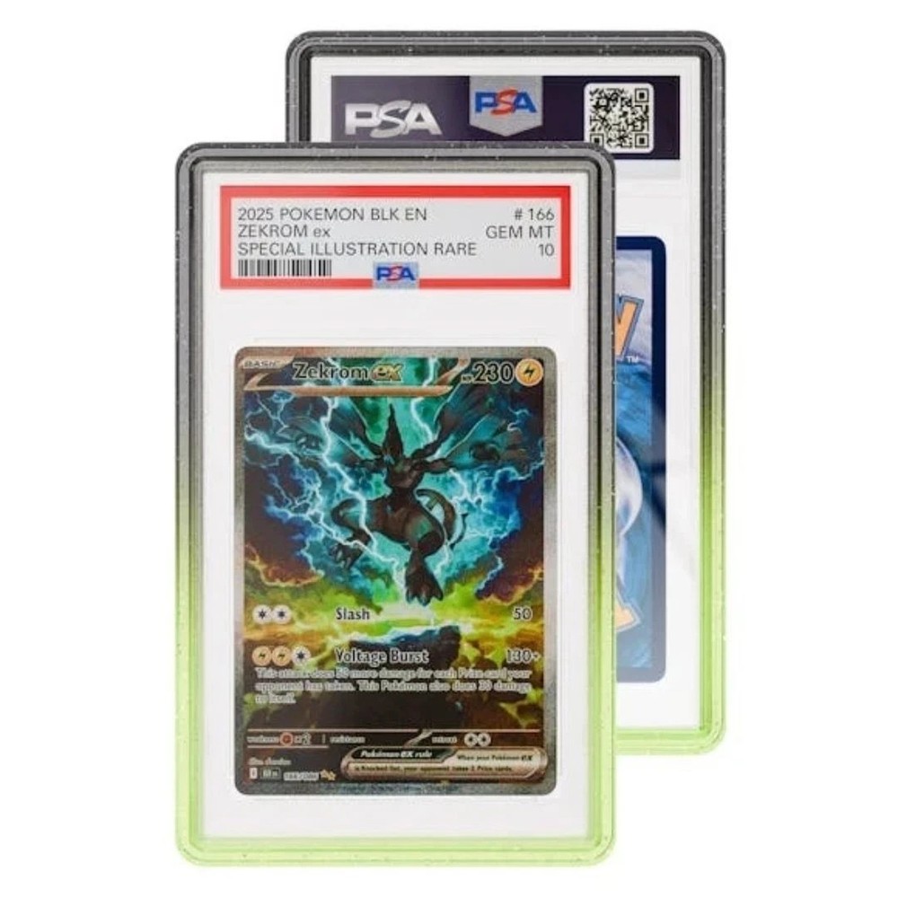 GRADEDGUARD PSA Graded CASE GUARD Protector FALLOUT Limited Edition