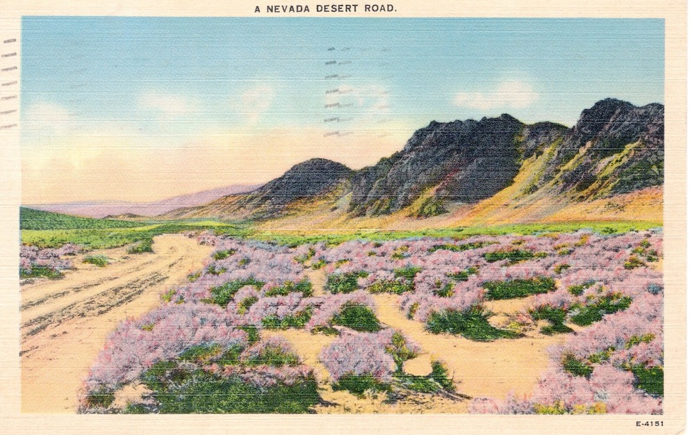 A NEVADA DESERT ROAD - PC6758