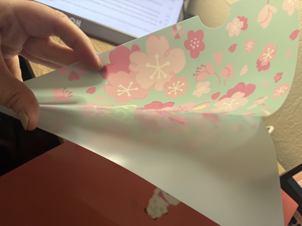 Folder Divider BT21 File Folder Cherry Blossom Edition Cooky and RJ