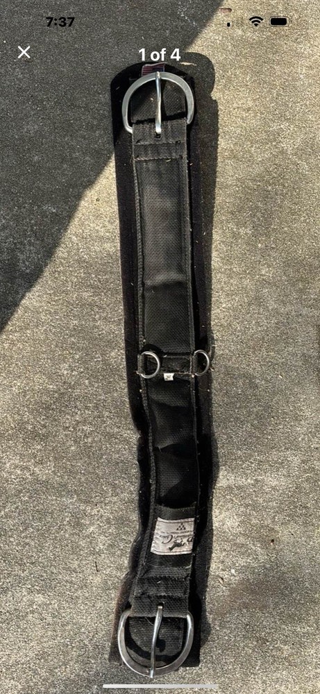 Professional Choice Cinch Sz 32