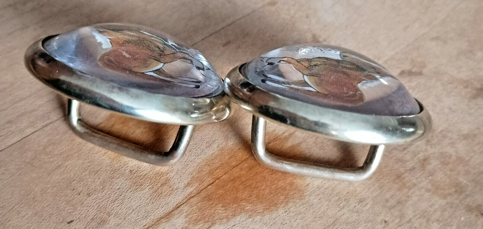 Bridle Loop Rosettes Haflinger for Headstall Harness Glass Dome and Brass