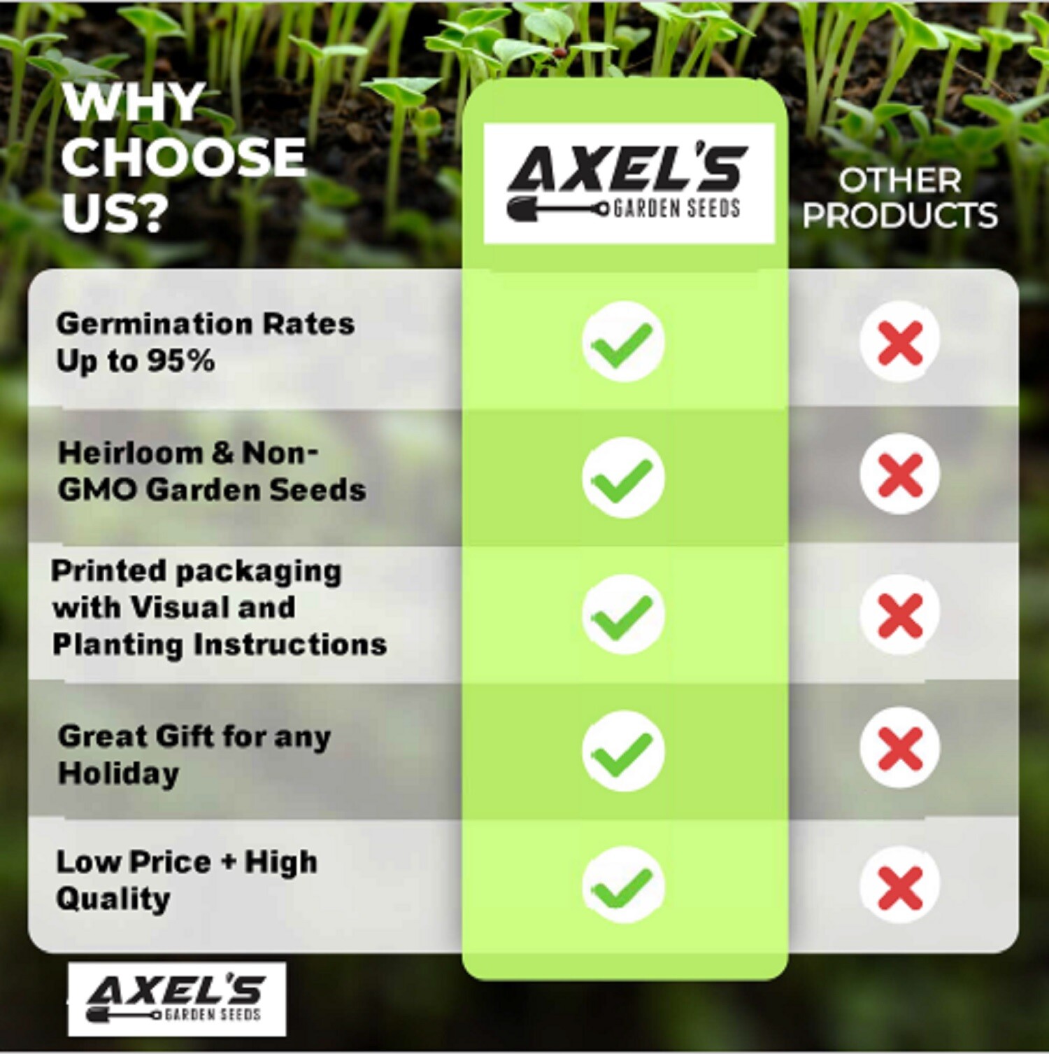 California Giant Zinnia Flower Seeds | Non-GMO | Fresh Annual Flower Seeds