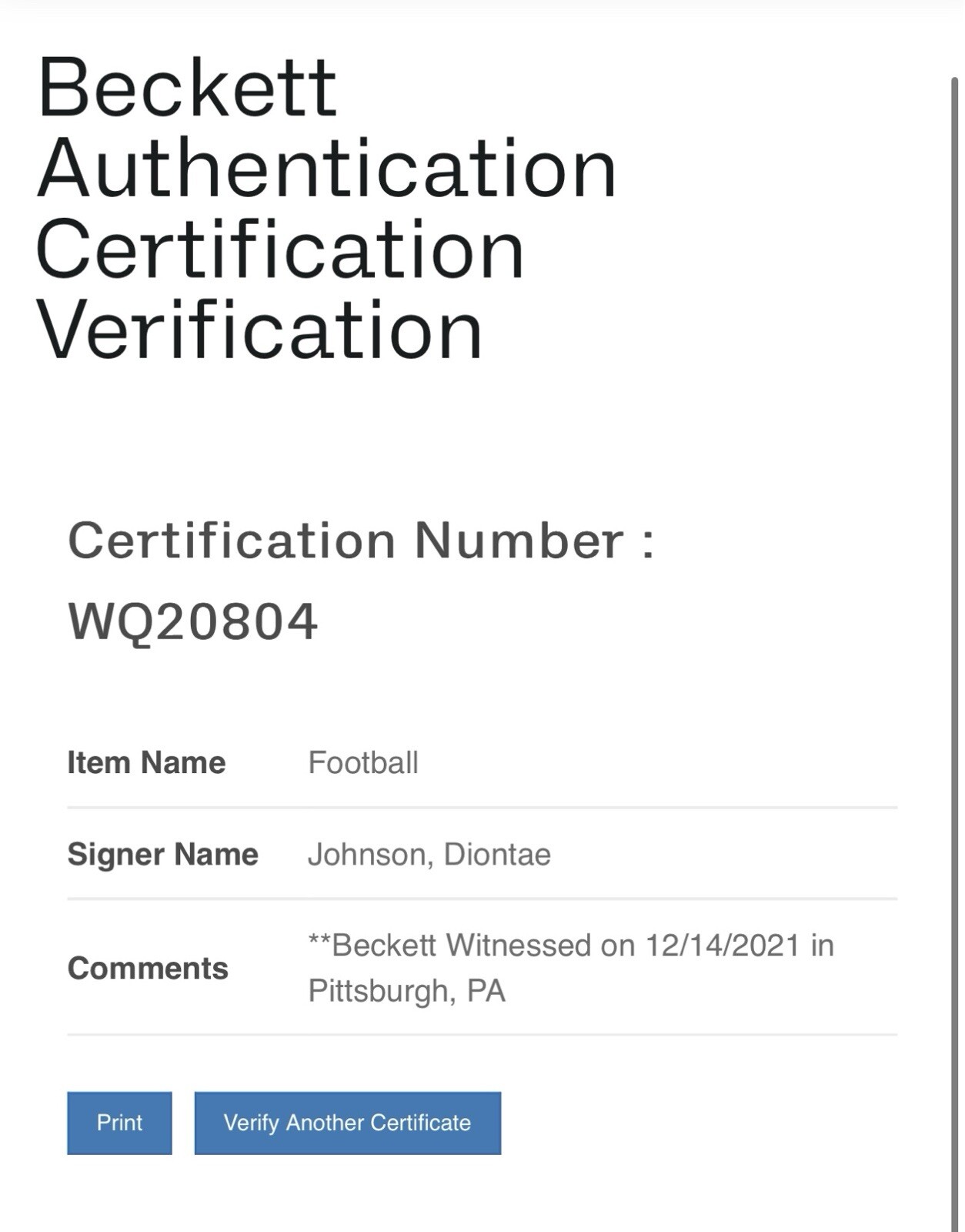 Steelers Game Used Ben Roethlisberger Touchdown TD Pass Football 9/12/21 Bills