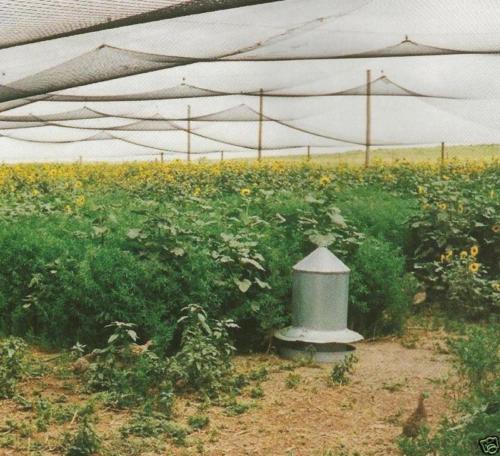 Poultry Netting 25' x 50' 1" Heavy Knotted Aviary Anti Bird Net Lasts 7-10 Years