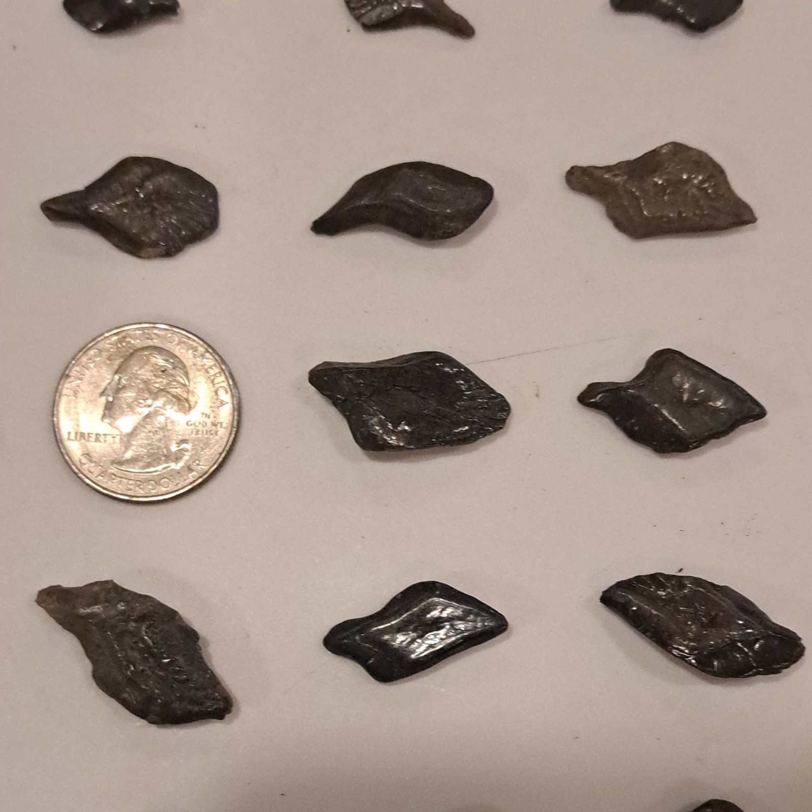 44 ALLIGATOR GAR SCALES FLORIDA FOSSILS ICE AGE EXTINCT FISH BONES TOOTH TEETH @