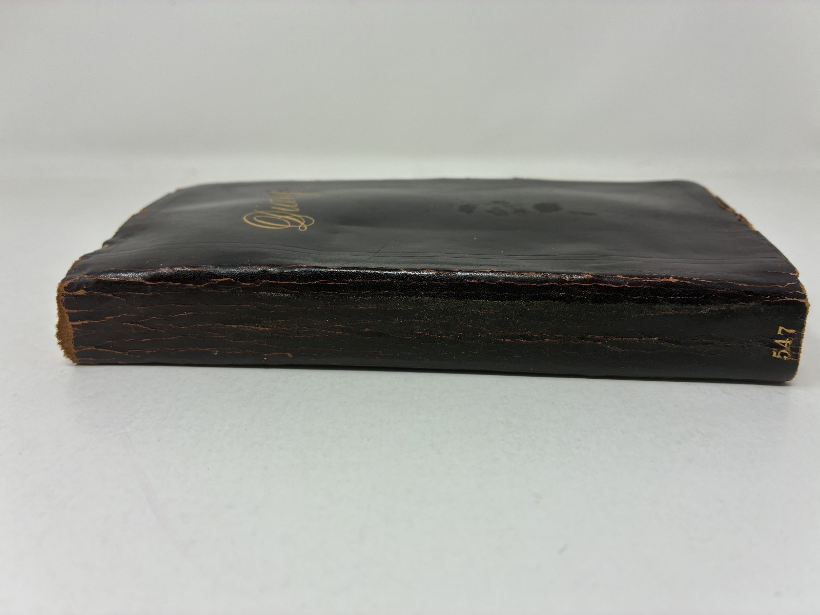 1900 Victorian Woman Wife & Mother Handwritten Diary with Her Life Memorial!