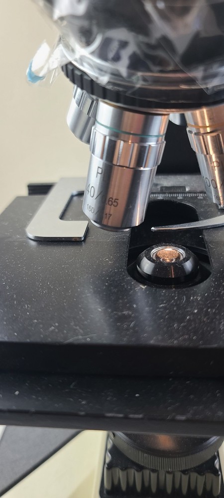 Fisher 12-561B Micromaster Microscope With Objectives