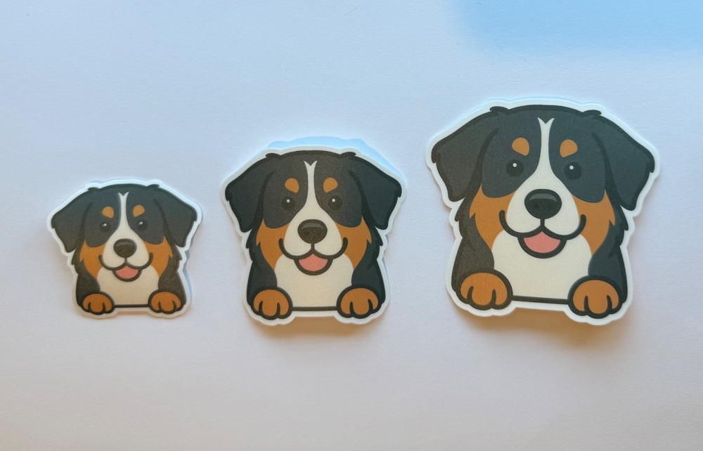 Bernese Mountain Dog Peeking Sticker