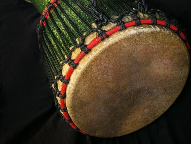 Goatskin Bongo Drum Head - 10 Inch Replacement for Authentic Sound