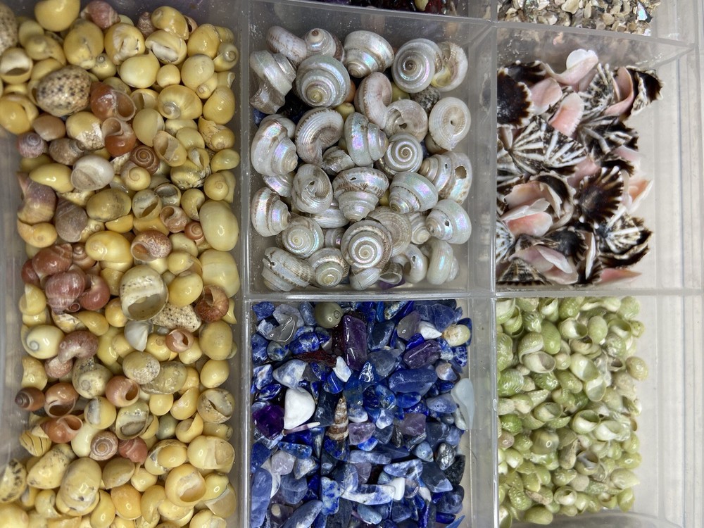 11-pack Small Sea Shell and Decorative Sand Bundle / Snails / Bottle Decor