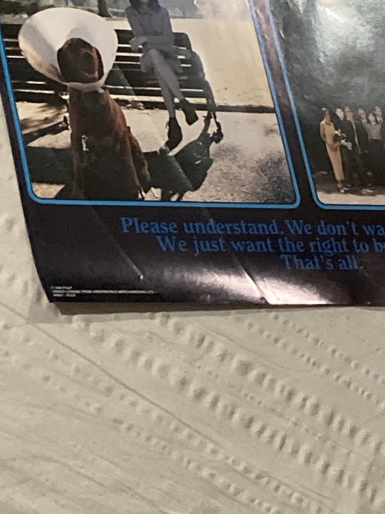 Pulp 1996 Poster Different Class Jarvis Cocker Funky