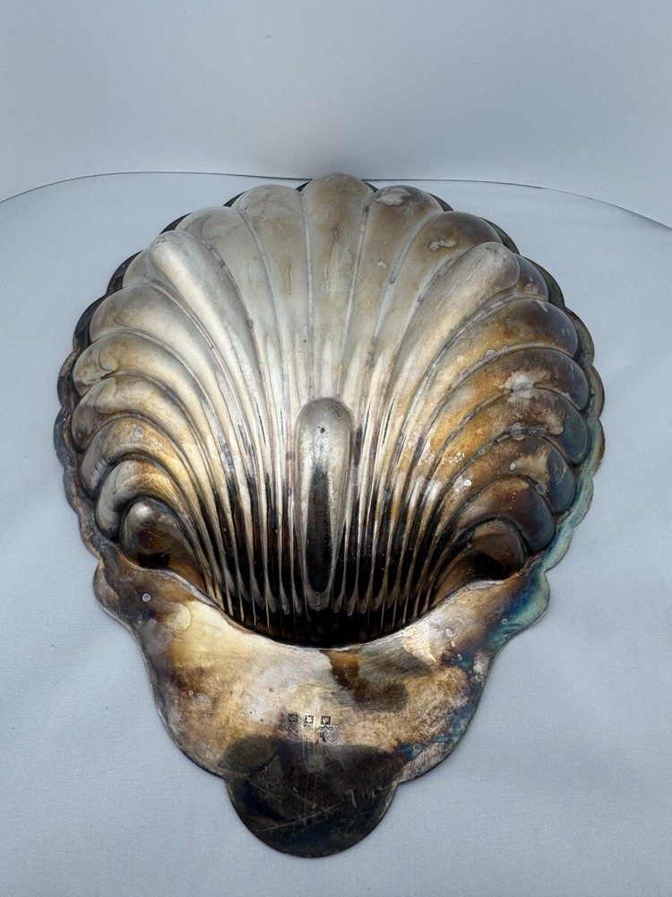 Silver Shell Server Needs Polish Vintage