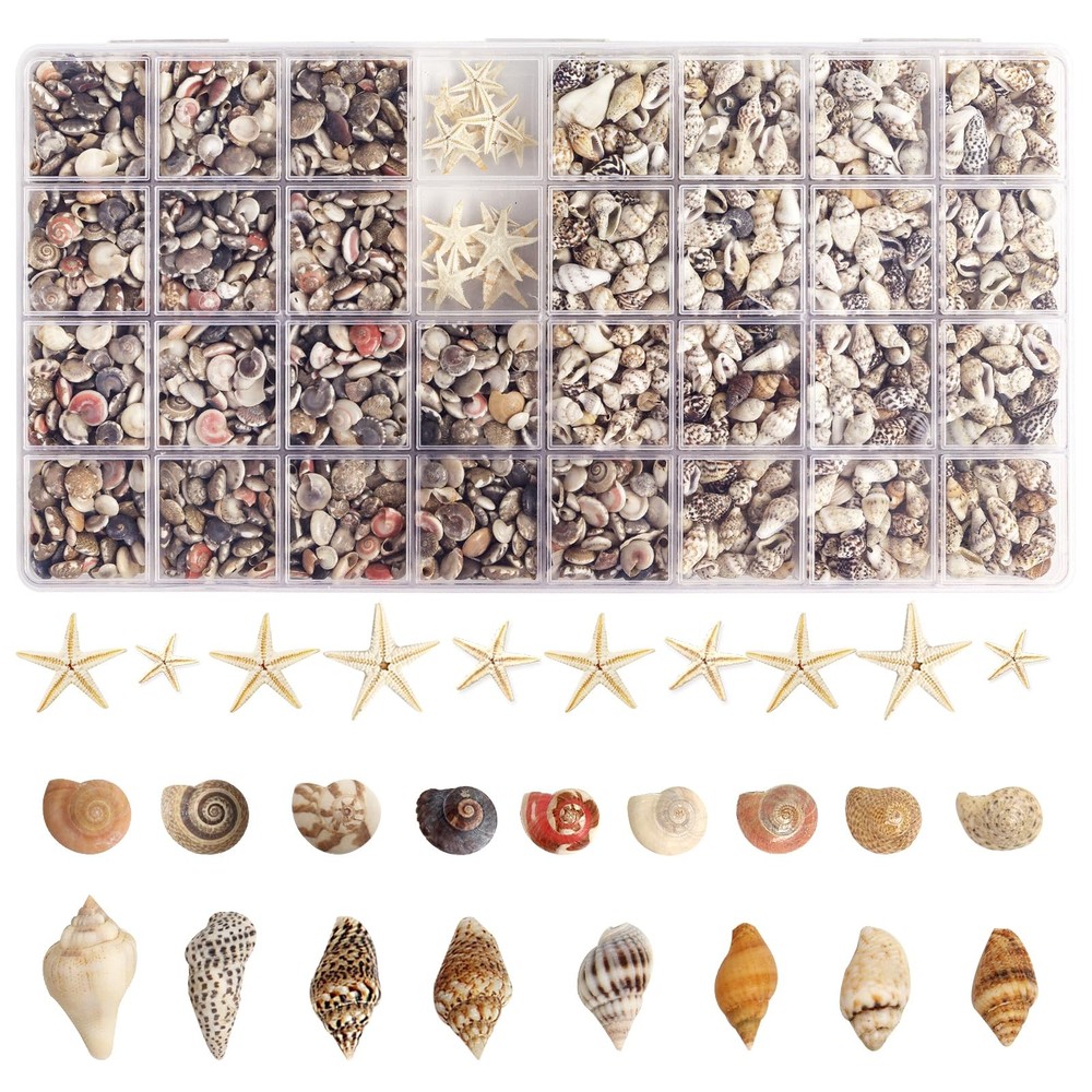 2000 PCS Tiny Sea Shells Mini Shells for Crafting & 20 Small Starfish for Fis...