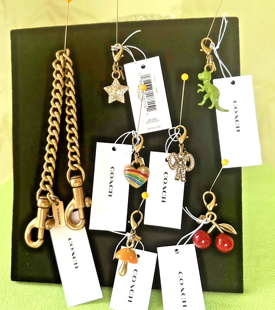 COACH DIY CHAIN STRAP OR CHARM (ASSORTED):NWT (EACH PIECE SOLD SEPARATELY)