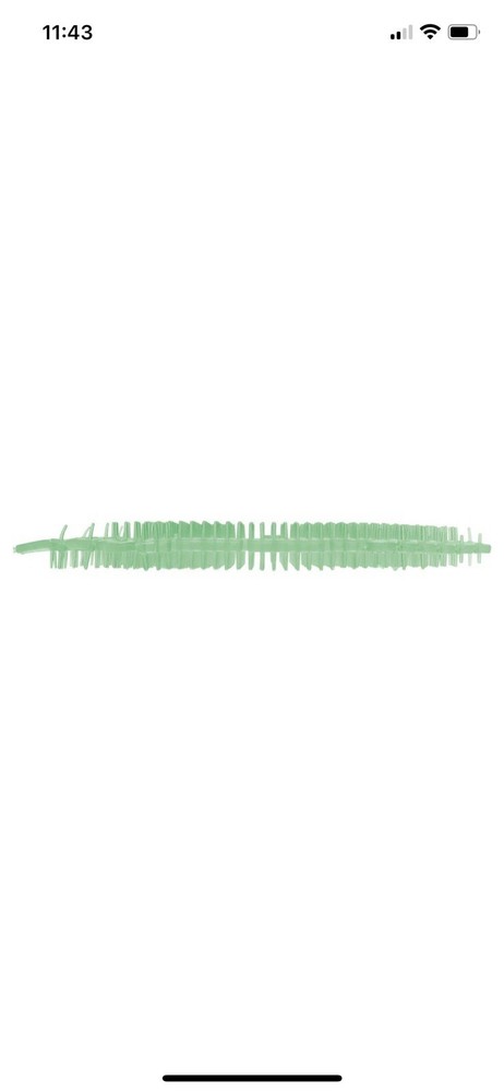 Fresh Products Wave 2.0 Urinal Screen Herbal Mint 10-Pack