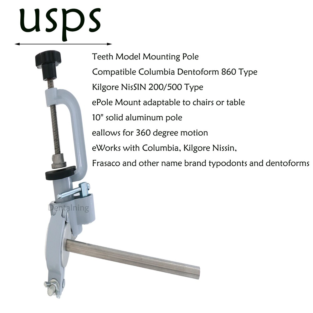 US Columbia Dentoform 860 Dental Study Model 32 Replace Teeth Mounting Pole