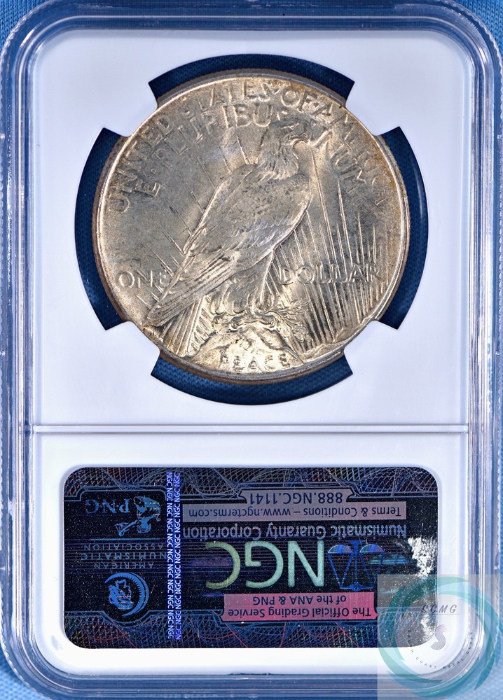 1925 Peace Dollar NGC MS 65 - Impeccable Gem Specimen!