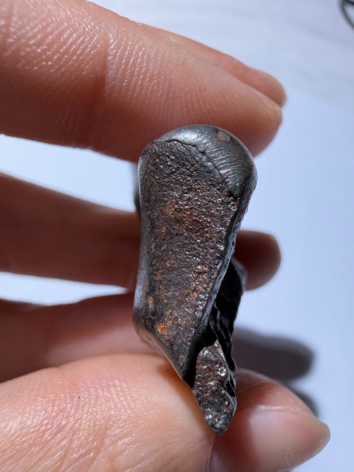 Sikhote-Alin Meteorite 28.25g Special-shaped attractive crust oriented feature