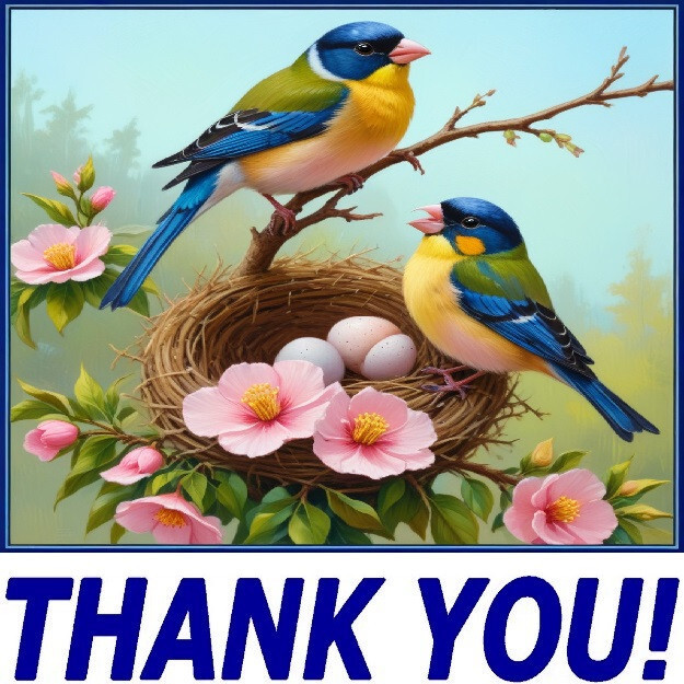 30 Custom Spring Bird Thank You Personalized Address Labels