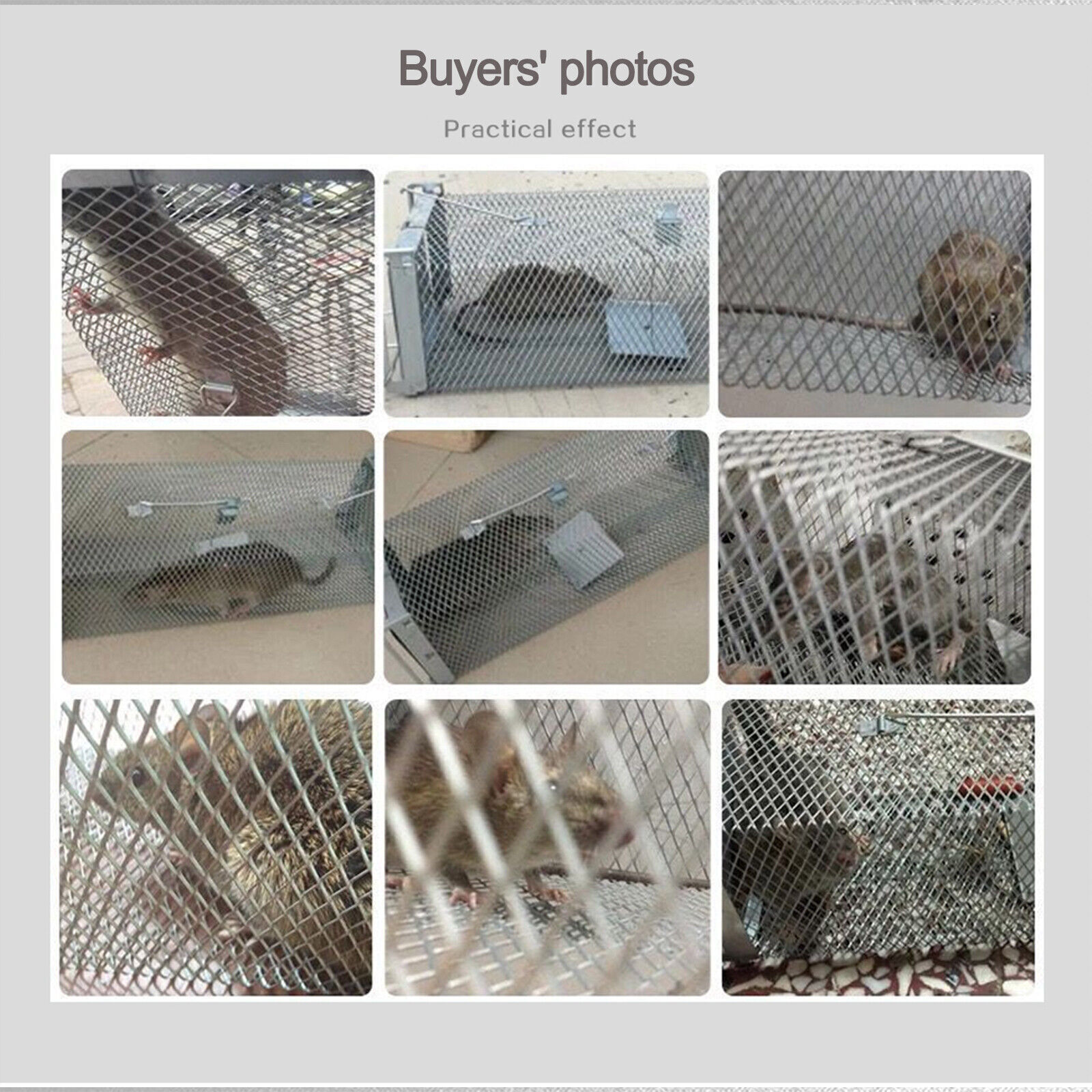 Live Animal Trap Cage Catch and Release Mice Rats Squirrels Small Animals US