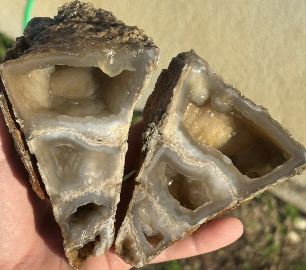 Agatized Coral Geode Fluorescent Mineral